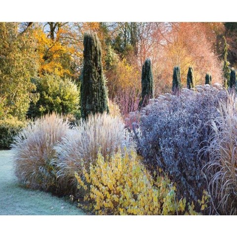 Kalendarz ścienny OGRODY RAJSKIE WIELOPLANSZOWY 12K 320mm x 470mm Lucrum (RW13) Lucrum