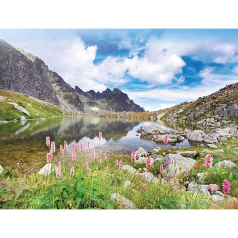 Kalendarz ścienny PEJZAŻE TATRZAŃSKIE WIELOPLANSZOWY 12K 320mm x 470mm Lucrum (RW3) Lucrum