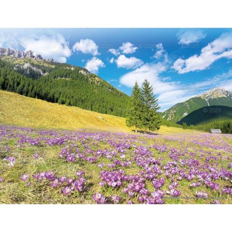 Kalendarz ścienny PEJZAŻE TATRZAŃSKIE WIELOPLANSZOWY 12K 320mm x 470mm Lucrum (RW3) Lucrum