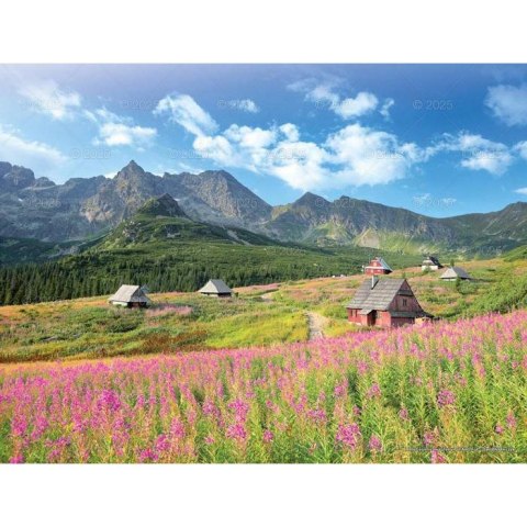 Kalendarz ścienny PEJZAŻE TATRZAŃSKIE WIELOPLANSZOWY 12K 320mm x 470mm Lucrum (RW3) Lucrum