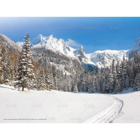 Kalendarz ścienny PEJZAŻE TATRZAŃSKIE WIELOPLANSZOWY 12K 320mm x 470mm Lucrum (RW3) Lucrum