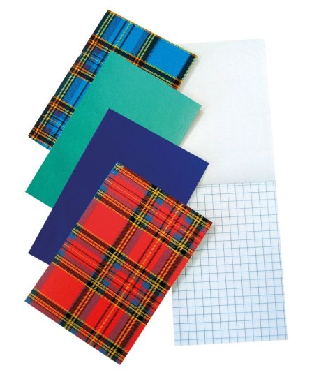 Notes (notatnik) KLEJONY A6 40k. krata [mm:] 100x145 Warta (120-040) Warta