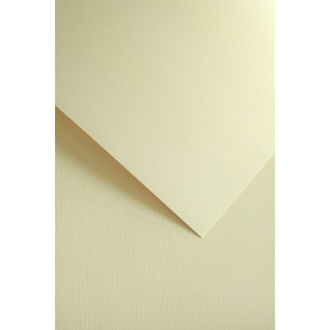 Papier ozdobny (wizytówkowy) natte kremowy A4 kremowy 250g Galeria Papieru (205802) Galeria Papieru