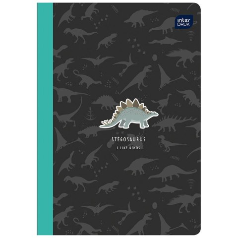 Zeszyt A5 16k. 70g czysty Interdruk (ZE16KFG) Interdruk