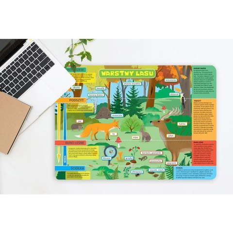 Podkład na biurko WARSTWY LASU I ŁĄKA mix PVC PCW Henry (5905701481262) Henry