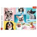 Puzzle Trefl 1500 el. (26186) Trefl