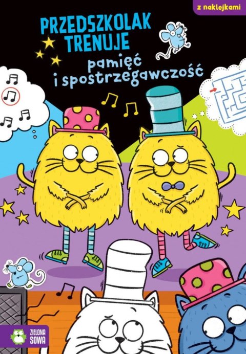 Książeczka edukacyjna Przedszkolak trenuje pamięć i spostrzegawczość Zielona Sowa Zielona Sowa