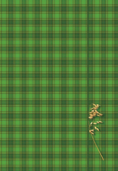 Teczka kartonowa na gumkę A4 mix Kreska Kreska