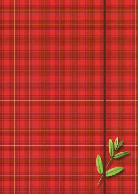 Teczka kartonowa na gumkę A4 mix Kreska Kreska