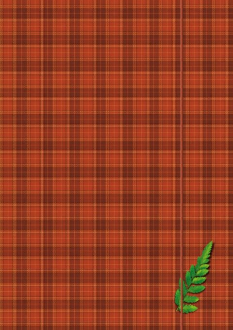 Teczka kartonowa na gumkę A4 mix Kreska Kreska