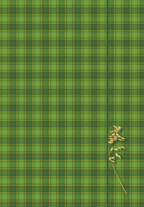 Teczka kartonowa na gumkę A4 mix Kreska Kreska