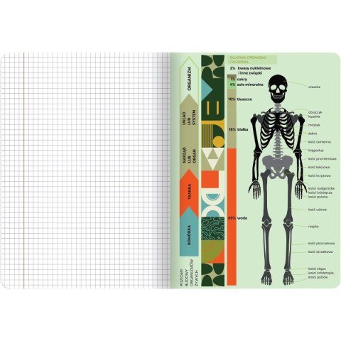 Zeszyt biologia A5 60k. 70g krata TOP-2000 (400169460) TOP-2000