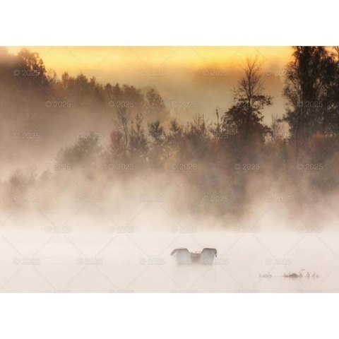 Kalendarz ścienny MAGICZNA POLSKA WIELOPLANSZOWY 12K 320mm x 470mm Lucrum (RW2) Lucrum