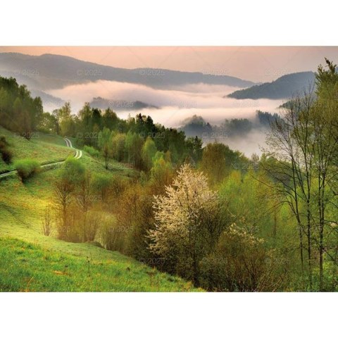 Kalendarz ścienny MAGICZNA POLSKA WIELOPLANSZOWY 12K 320mm x 470mm Lucrum (RW2) Lucrum