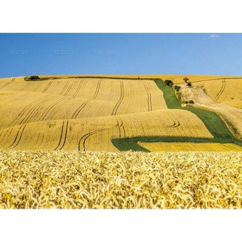 Kalendarz ścienny MAGICZNA POLSKA WIELOPLANSZOWY 12K 320mm x 470mm Lucrum (RW2) Lucrum