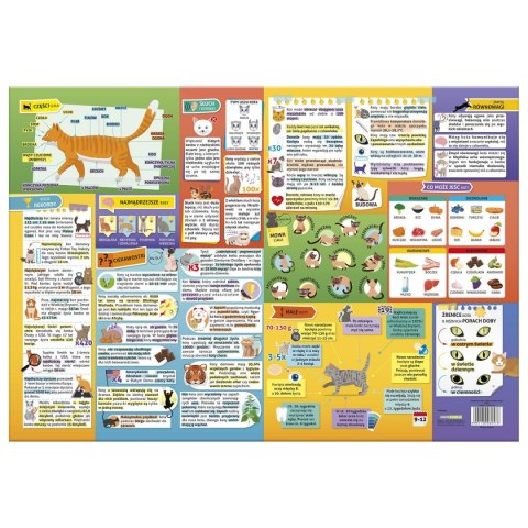 Podkład na biurko koty różnokolorowy karton pokryty folią [mm:] 345x500 Derform (POEKT) Derform