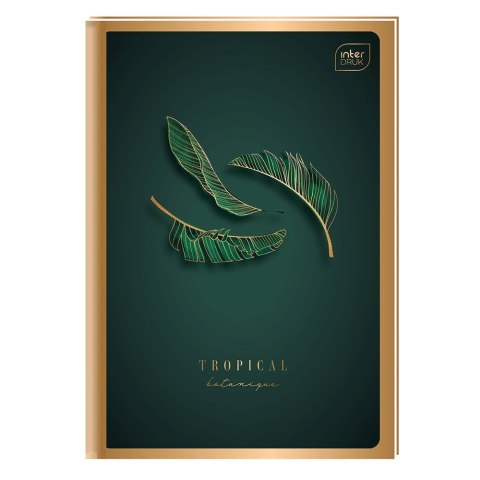 Brulion A6 96k. 70g linia Interdruk (BRA6=MG) Interdruk