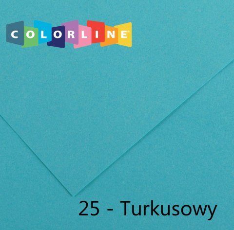 Brystol Colorline 25 turkusowy 150g 10k [mm:] 500x650 Canson (200041401) Canson
