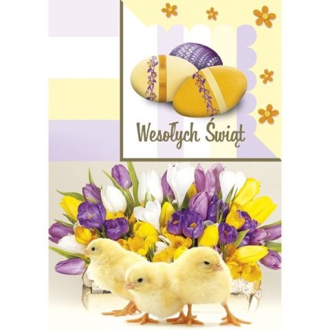 Kartka składana B6 Pol-mak Pol-mak