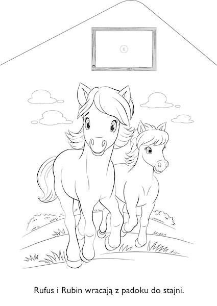 Książeczka edukacyjna kol.z zagrody. konik Niko Niko