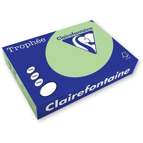 Papier kolorowy Trophee kolorowy A4 zielony trawowy 160g (xca41107) Trophee