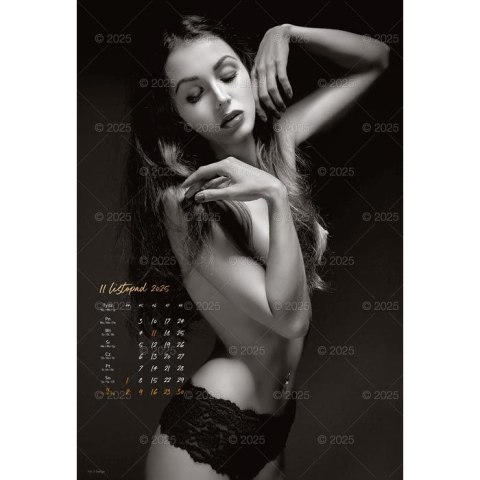 Kalendarz ścienny FOTO-MARZENIA WIELOPLANSZOWY 12K 320mm x 470mm Lucrum (RW17) Lucrum