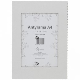 Antyrama M-interio plexi plexi [mm:] 210x297 (AR21x29,7) M-interio