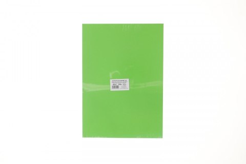 Brystol A3 jasnozielony 160g 20k Protos Protos