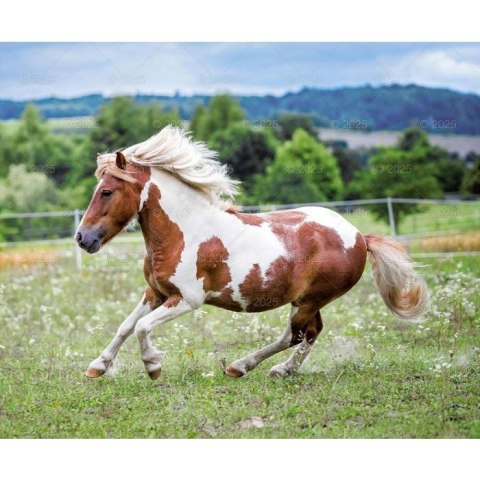 Kalendarz ścienny KONIE W OBIEKTYWIE WIELOPLANSZOWY 12K 320mm x 470mm Lucrum (RW15) Lucrum