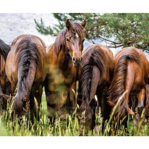 Kalendarz ścienny KONIE W OBIEKTYWIE WIELOPLANSZOWY 12K 320mm x 470mm Lucrum (RW15) Lucrum