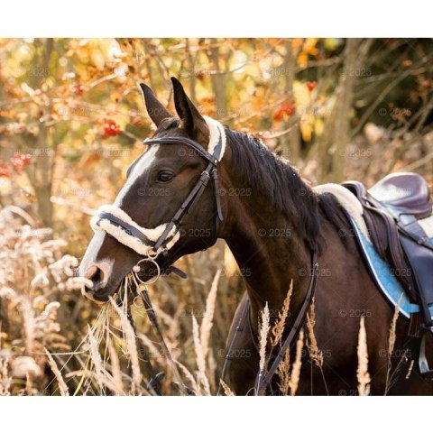 Kalendarz ścienny KONIE W OBIEKTYWIE WIELOPLANSZOWY 12K 320mm x 470mm Lucrum (RW15) Lucrum