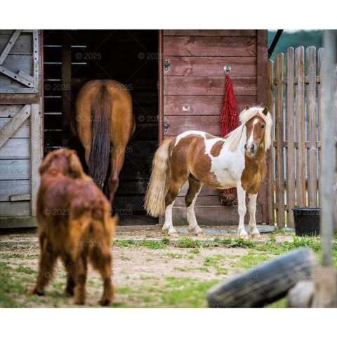 Kalendarz ścienny KONIE W OBIEKTYWIE WIELOPLANSZOWY 12K 320mm x 470mm Lucrum (RW15) Lucrum