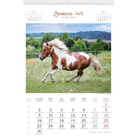 Kalendarz ścienny KONIE W OBIEKTYWIE WIELOPLANSZOWY 12K 320mm x 470mm Lucrum (RW15) Lucrum