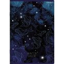 Zeszyt WINTER SAILOR A5 60k. 70g linia Top 2000 (400157926) Top 2000
