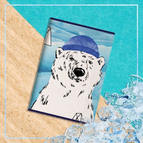 Zeszyt WINTER SAILOR A5 60k. 70g linia Top 2000 (400157926) Top 2000