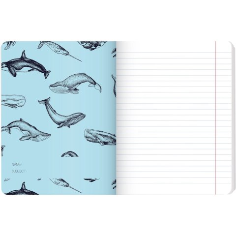 Zeszyt WINTER SAILOR A5 60k. 70g linia Top 2000 (400157926) Top 2000