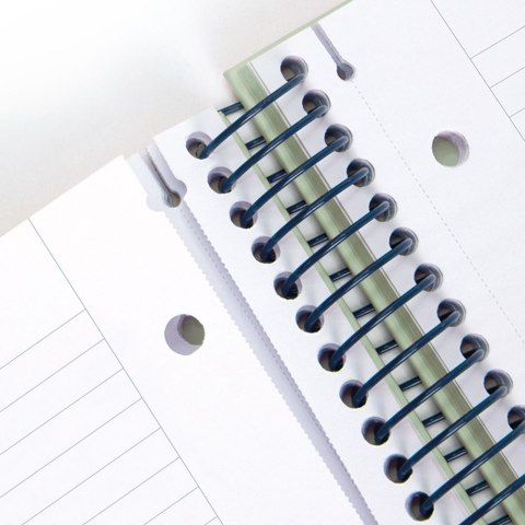 Kołozeszyt (kołonotatnik) 1918 różowy A4 80k. 95g linia Milan (57142E80P) Milan