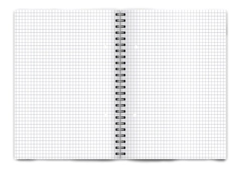 Kołozeszyt (kołonotatnik) colors niebieska A5 100k. 70g krata TOP-2000 (400169209) TOP-2000