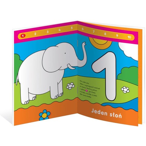 Książka dla dzieci A-4/16 Interdruk (MAA4ZCKL) Interdruk