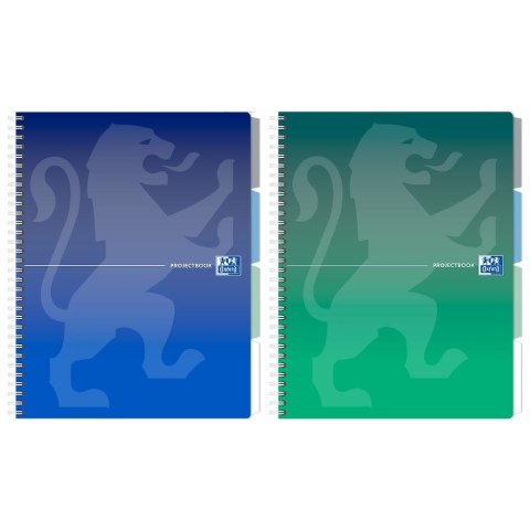 Notes (notatnik) klasyczny A4 80k. krata Oxford (400182937) Oxford