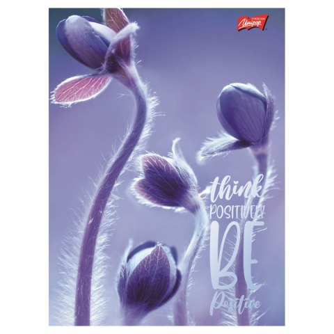 Zeszyt Meadow A5 80k. 70g krata Unipap Unipap