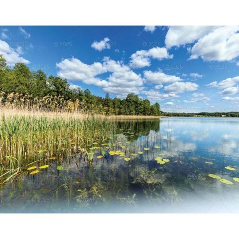 Kalendarz ścienny WEDRÓWKI PO POLSCE WIELOPLANSZOWY 12K 320mm x 470mm Lucrum (RW4) Lucrum