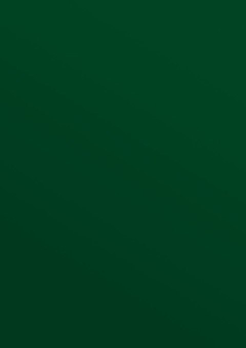 Karton do bindowania błyszczący - chromolux A4 zielony 250g Titanum Titanum