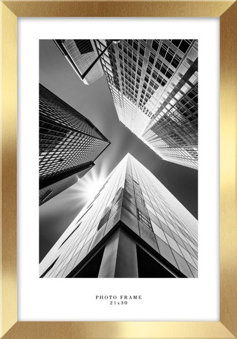 Ramka Floryda AU [mm:] 210x300 Styler Styler