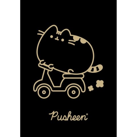 Zeszyt Pusheen A5 60k. 70g krata Unipap Unipap