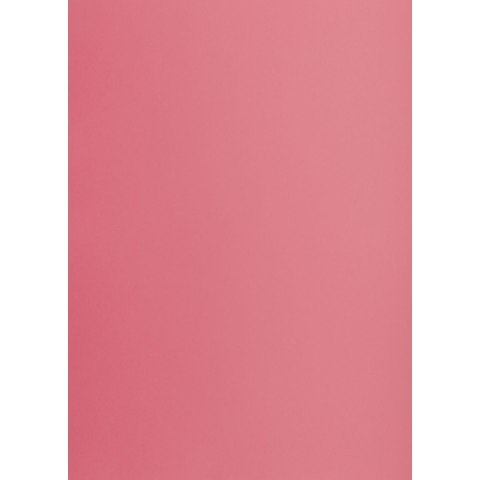 Brystol różowy B1 różowy 225g 1k Creatinio (400150260) Creatinio