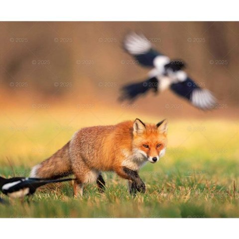 Kalendarz ścienny DZIKA PRZYRODA WIELOPLANSZOWY 12K 320mm x 470mm Lucrum (RW7) Lucrum