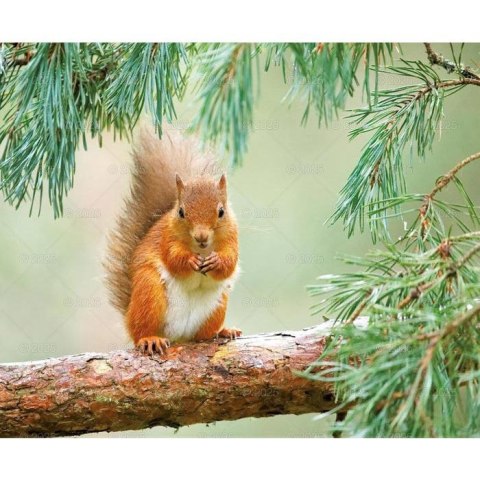 Kalendarz ścienny DZIKA PRZYRODA WIELOPLANSZOWY 12K 320mm x 470mm Lucrum (RW7) Lucrum