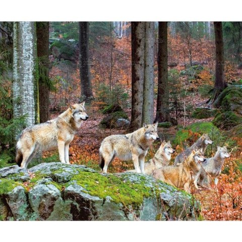 Kalendarz ścienny DZIKA PRZYRODA WIELOPLANSZOWY 12K 320mm x 470mm Lucrum (RW7) Lucrum