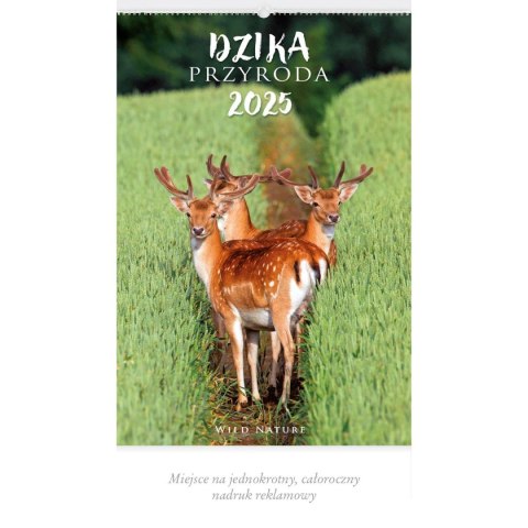 Kalendarz ścienny DZIKA PRZYRODA WIELOPLANSZOWY 12K 320mm x 470mm Lucrum (RW7) Lucrum